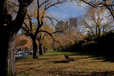 The Autumn Leaves