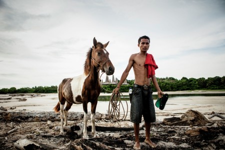 Man and Horse