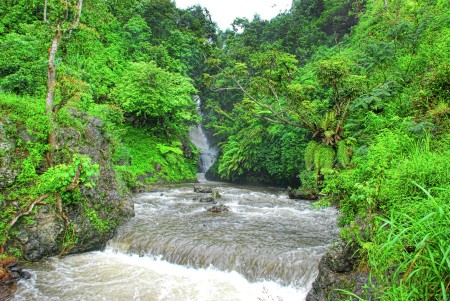 hutan dan air