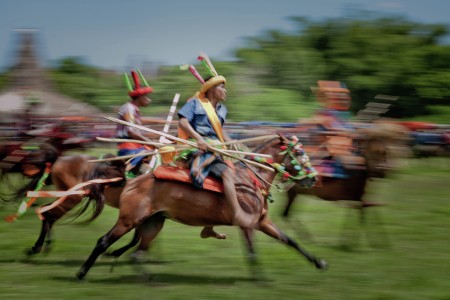 Pasola Warrior