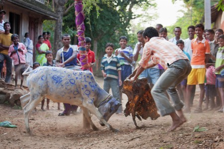 Goru Khota
