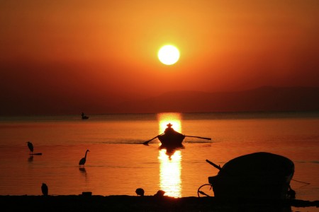 SUNRISE II