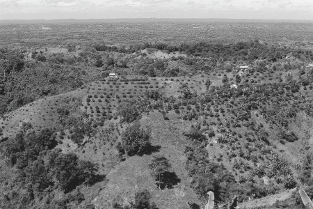 Paradise of Nature Ocean