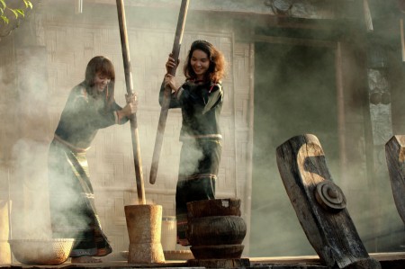 In the early sunshine