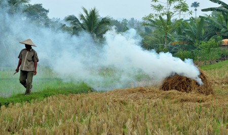 burning straw
