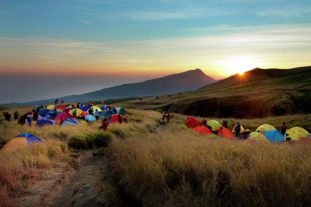 Camp