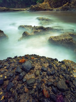 coral stones