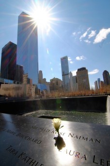 In Remembrance of Rose