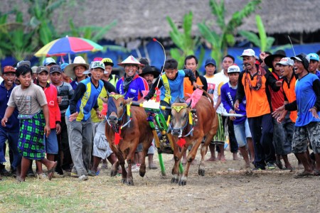 Bullrace Supporters
