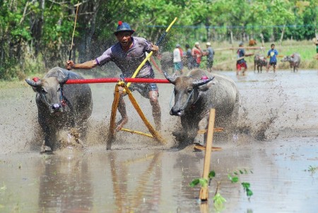 Go Finish