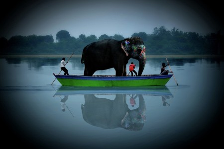 It Happens Only In India