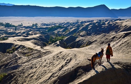 Horse Rider