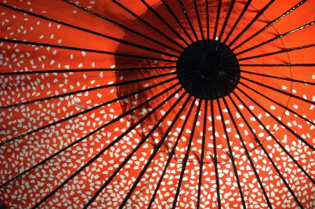 The Red Umbrella