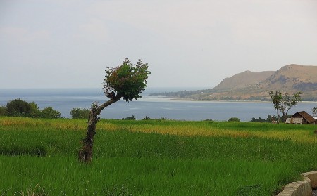 warna bumi