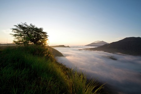 Menunggu sang fajar