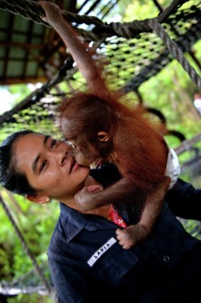 Expresion Of Love