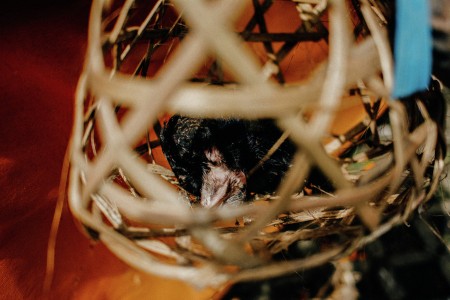 [Pura Ulun Danu - Kintamani] 20140414
http://issuu.com/gyaista/