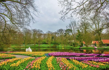 Keukenhof