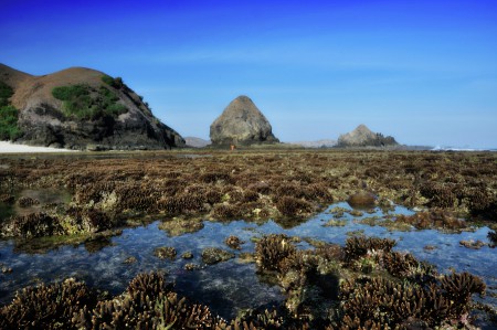 Pantai Seger