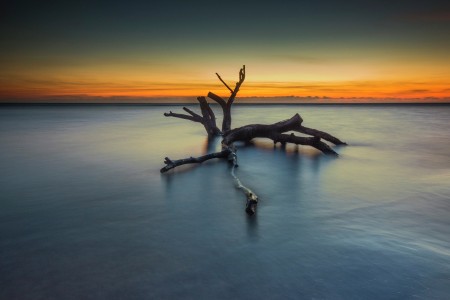 alone in the deserted