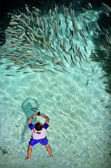 Under water Photographer
