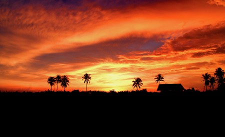 Sunset in the countryside