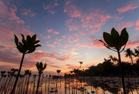 Sunset at Pari Island