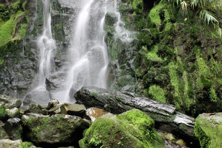 Beauty In Nature