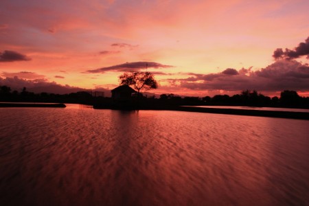 temaram senja di pinggir tambak