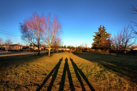 Man in Shadow