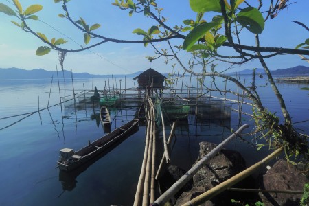 Kehidupan di Danau Tondano