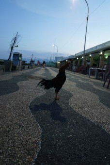 morning alarm