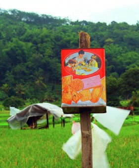 Kaleng bekas pengusir burung nakal II