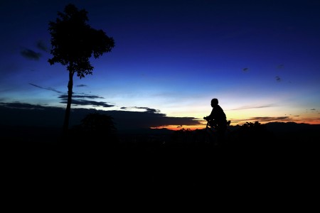gowes