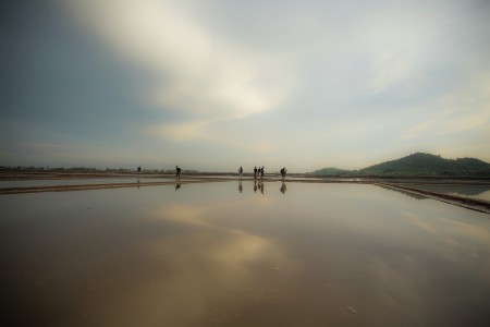Salt Fields