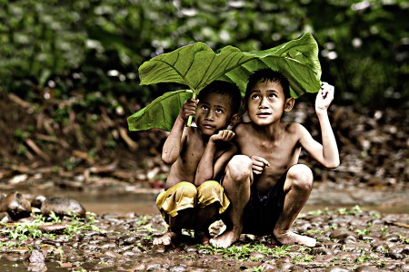 Berpayung Daun Talas