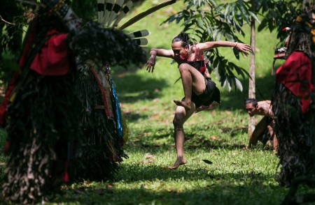 Hutan Pasir Sunyi #2