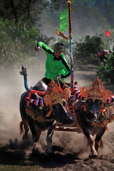Makepung