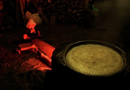 membuat gula merah