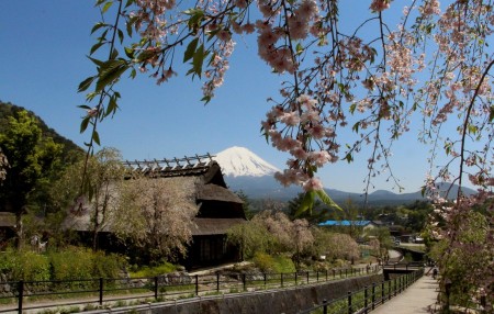 Kabuto-zukuri Folk House in Saiko Village