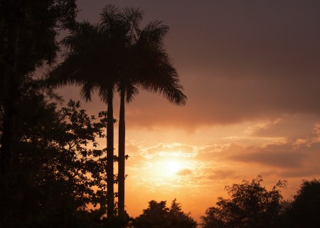 Borobudur Sunrise