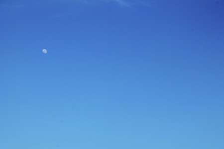 Morning Moon