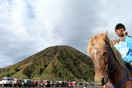 Horse and his master