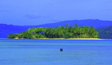 coconut island