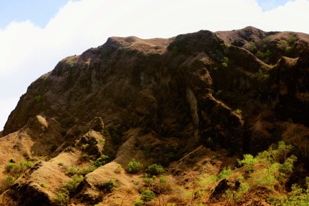east timor sleeping beauty