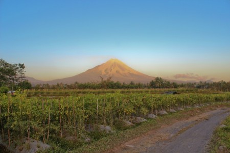 Sunset at Chili Plantation, in Merapi
