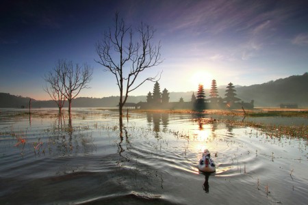 THE MAJESTY OF TAMBLINGAN