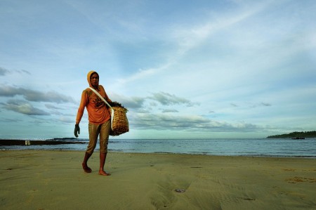 Seaweed Seeker