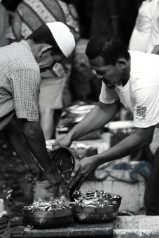Penjual & Pembeli Ikan
