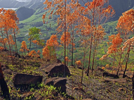 Unseen Colorful Samosir